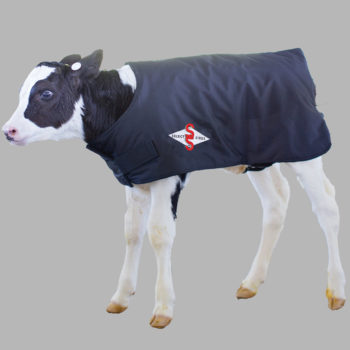 Calf Coat