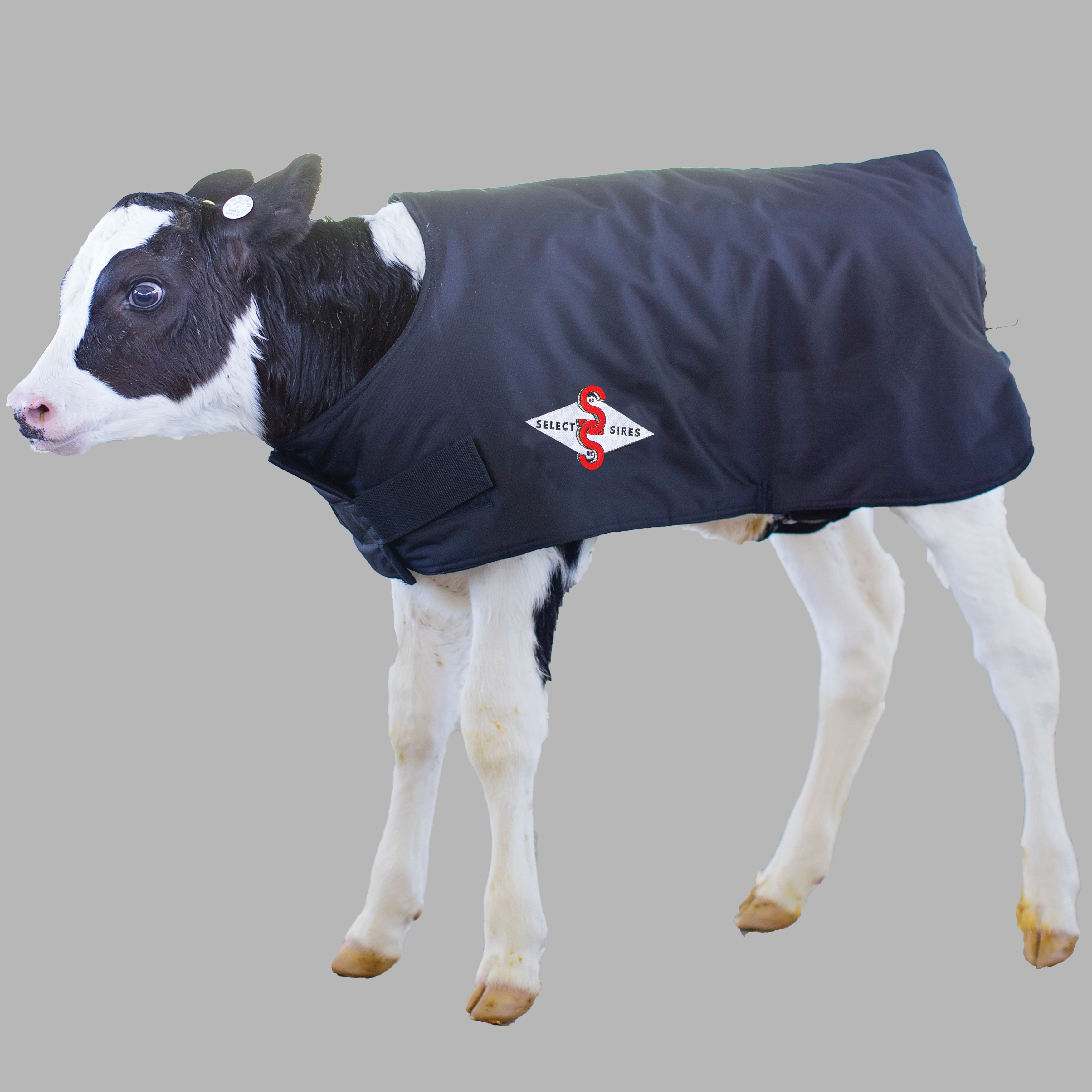 BlanketCountry Products 200gm75CM Coat Calf Jacket Water Resistant 
