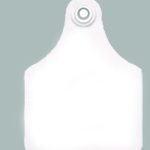 White $0.00