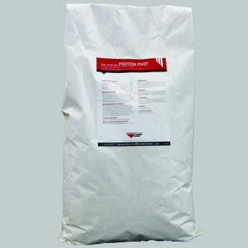 Accel Whole Milk Protein Pivot