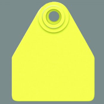 Allflex Visual Tag – Global Medium Female W/ Small Male