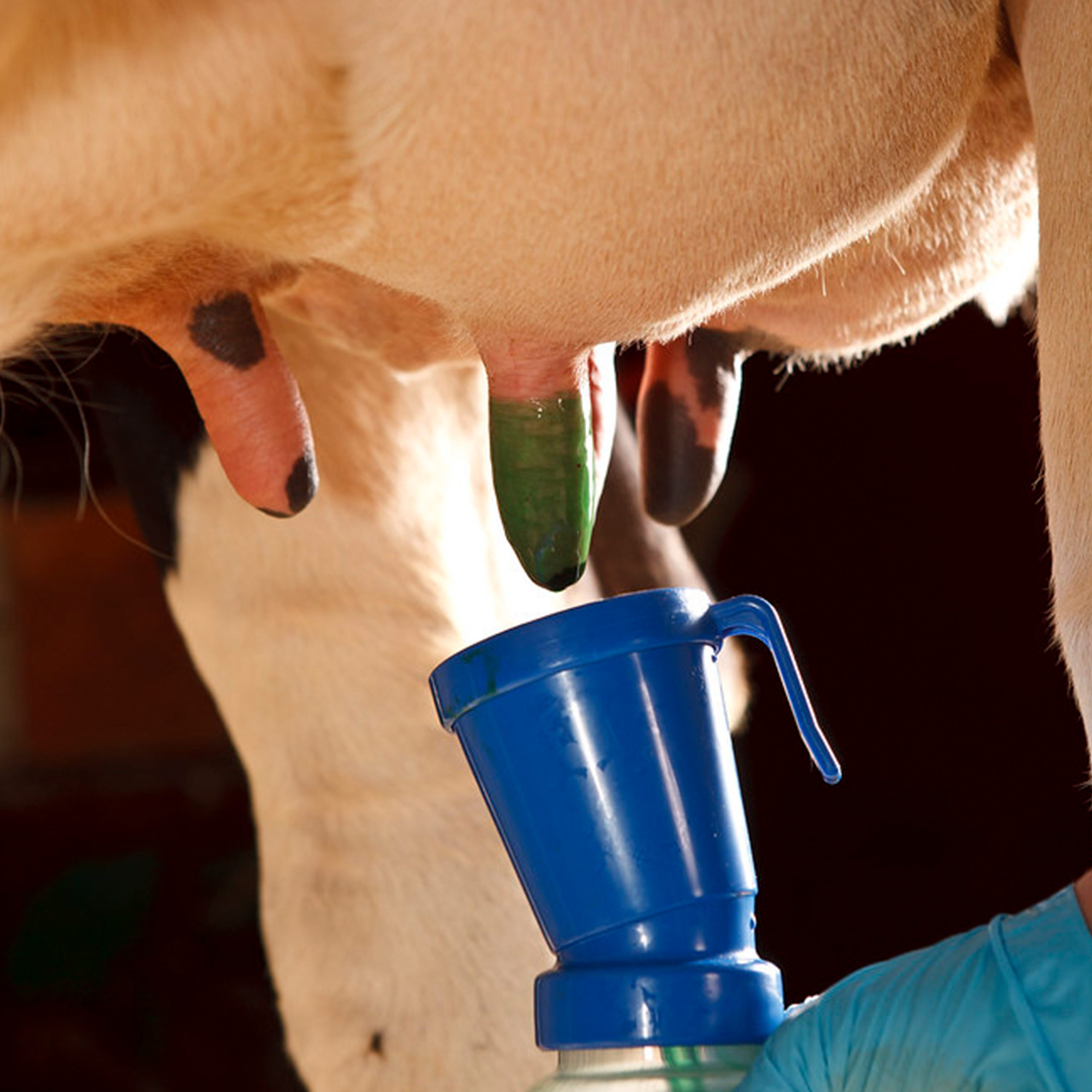 Teat Dips, Sealants, Other