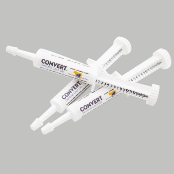 CONVERT™ Day One Calf Gel – Single Dose 15 Cc