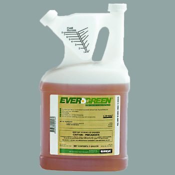 Evergreen® Pyrethrum Concentrate