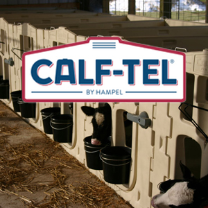 Calf-Tel