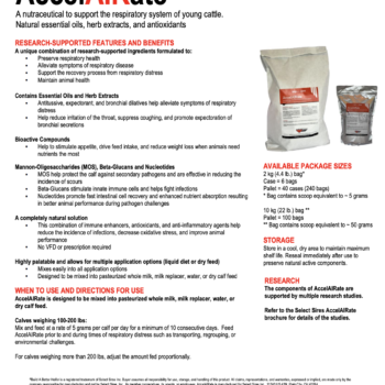 AccelAIRate Product Information Sheet