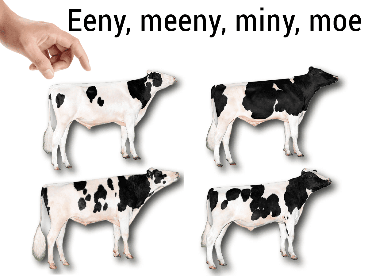 eeny-meeny-miny-moe-image-for-web-1