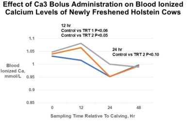 Improving Blood Ionized Ca with the Ca3 BioFresh® Bolus