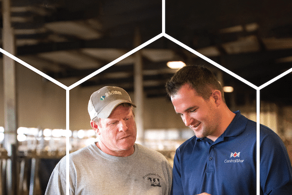 CentralStar Big Book 2022