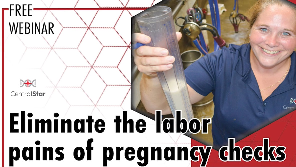 Eliminate the labor pains of pregnancy checks