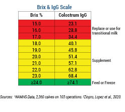 Brix & IgG Scale