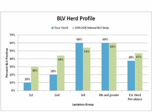 BLV Herd Profile
