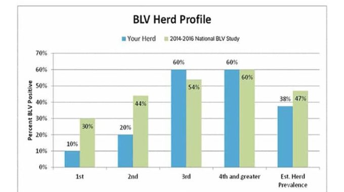 BLV Herd Profile Edited
