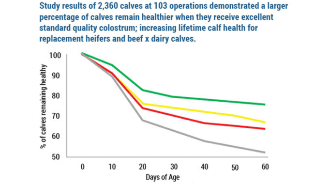 New Transfer of Passive Immunity Standard