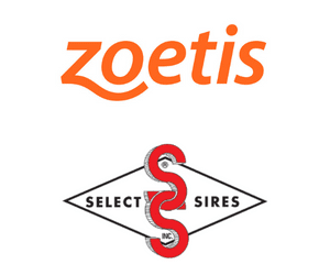 Zoetis, CowManager and Select Sires Form Global Collaboration