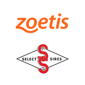 Zoetis, CowManager and Select Sires Form Global Collaboration