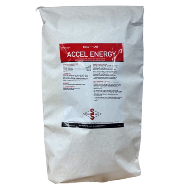 Accel Energy