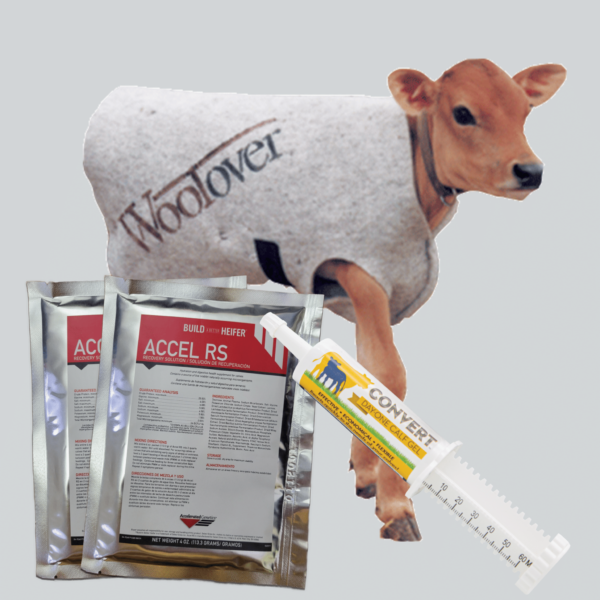 Calf care kit