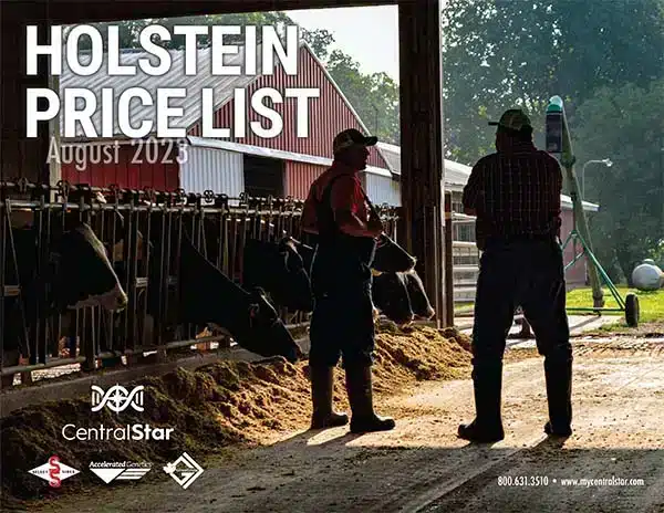 holstein price list august 2023