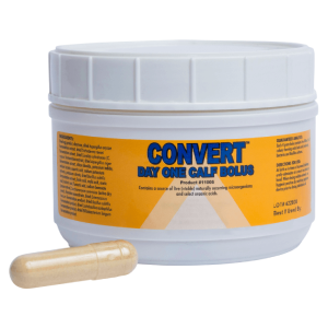 Convert Bolus jar