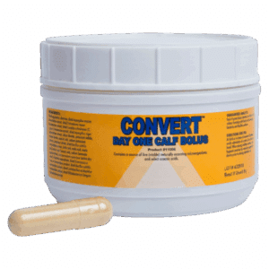 Convert Day One Calf Bolus