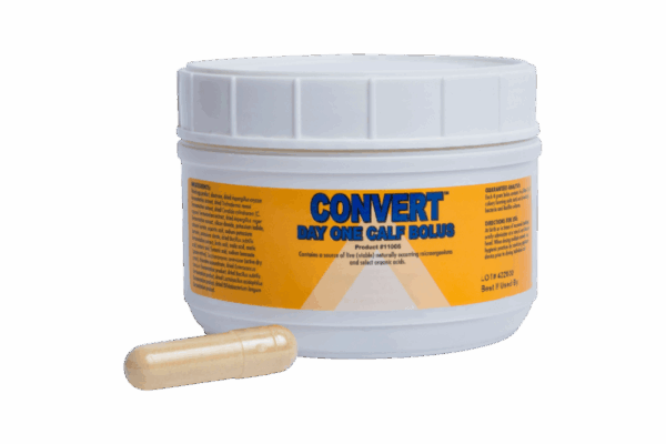 Convert Day One Calf Bolus