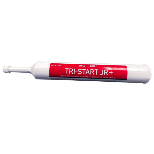 Tri-Start Jr+ Paste lg Tube