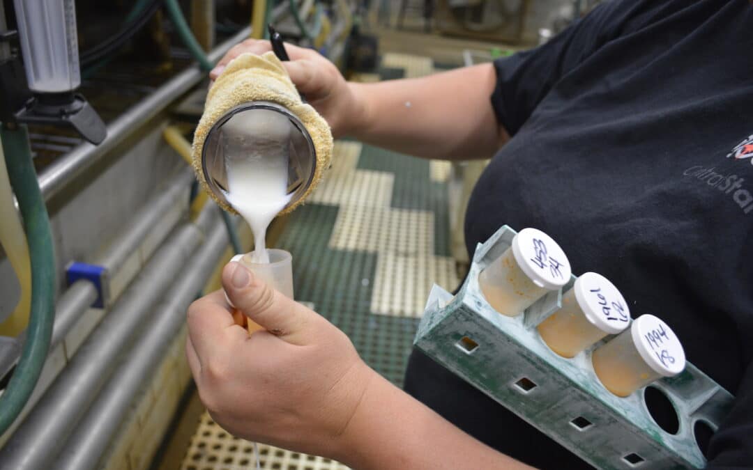 Mastitis PCR Frequently Asked Questions