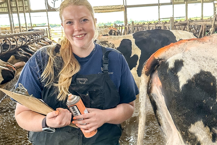 CentralStar announces paid internship opportunities for summer 2024