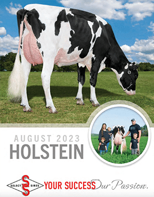 2023 holstein sire directory cover
