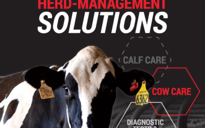 Herd-Management Solutions 2024