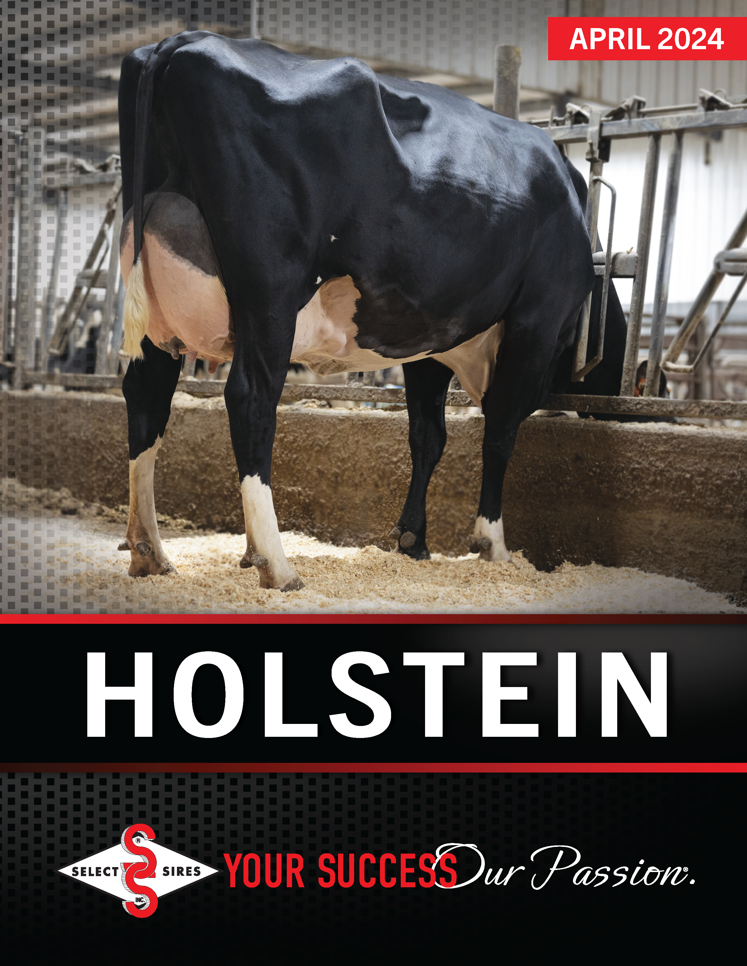 Holstein Directory