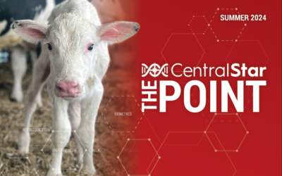 The POINT – Summer 2024