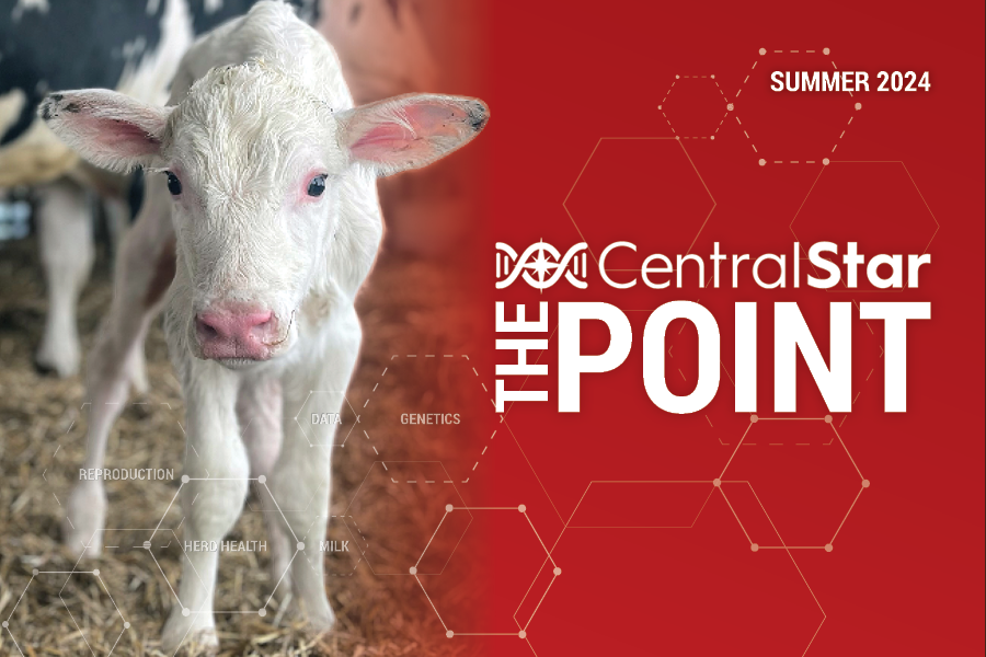 The POINT – Summer 2024