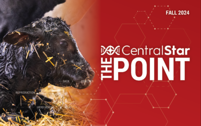 The POINT – Fall 2024