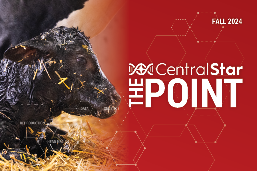 The POINT – Fall 2024