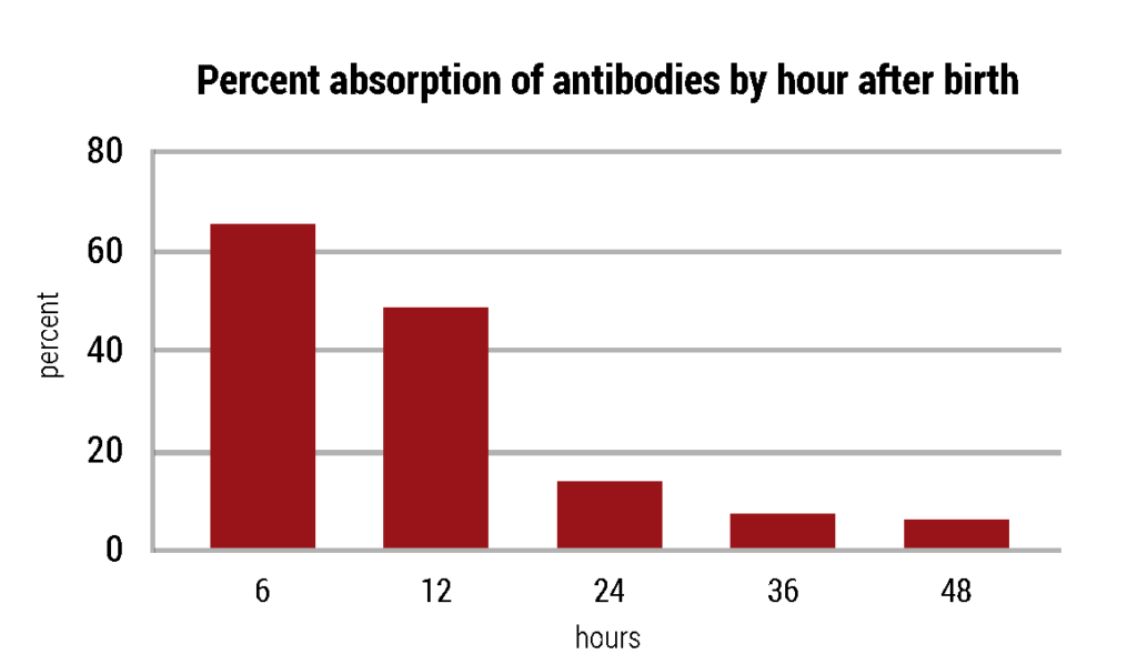 Percent abssorption of antibodies by hour after birth