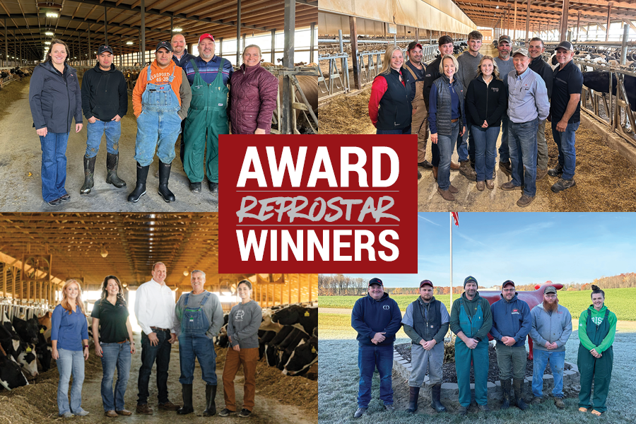 CentralStar recognizes excellence in dairy reproduction with ReproStar Awards