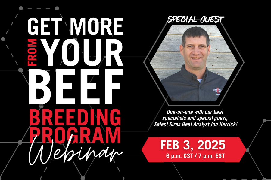 Maximize your beef herds potential webinar