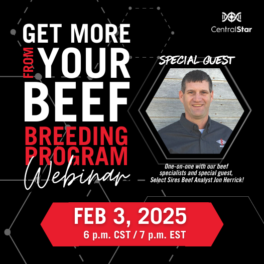 Maximize your beef herds potential webinar