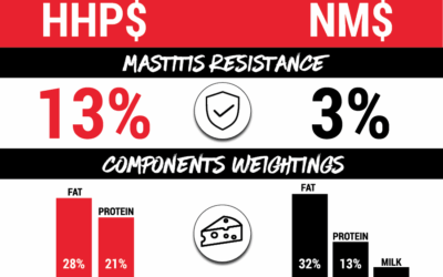 Why our team recommends HHP$® over NM$