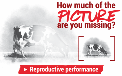 Track, analyze, and improve your repro program