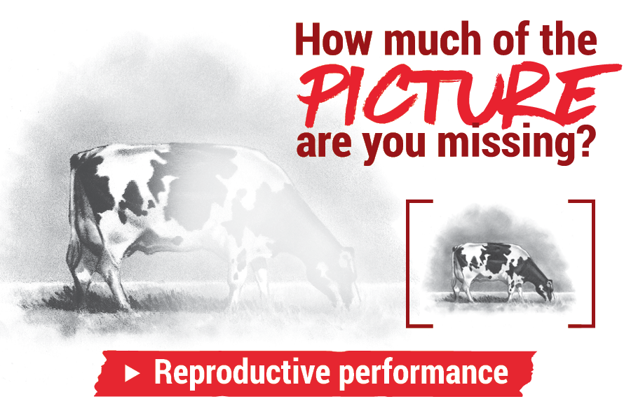 Track, analyze, and improve your repro program