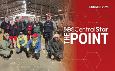 The POINT – Summer 2025