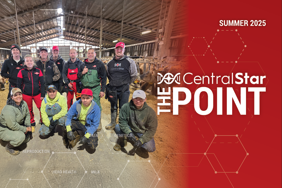 The POINT – Summer 2025