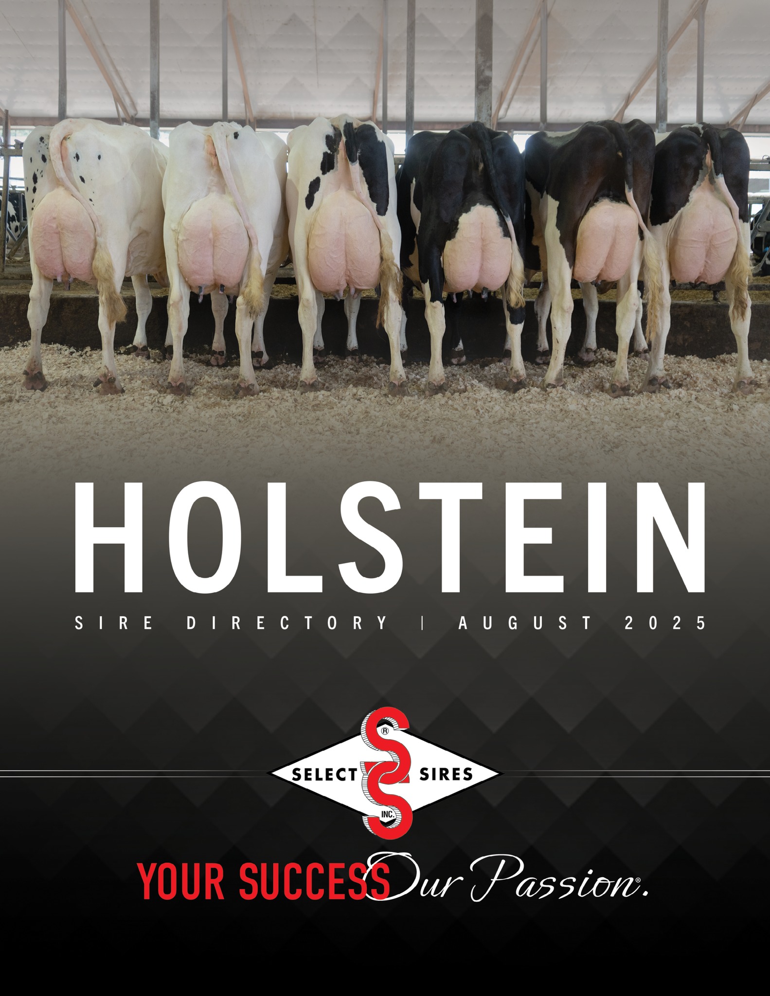 Holstein Directory Cover