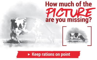 Keeping rations on point