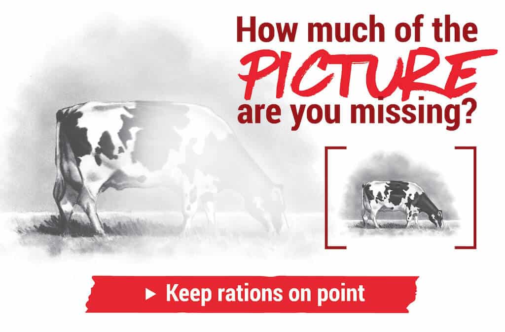 Keeping rations on point