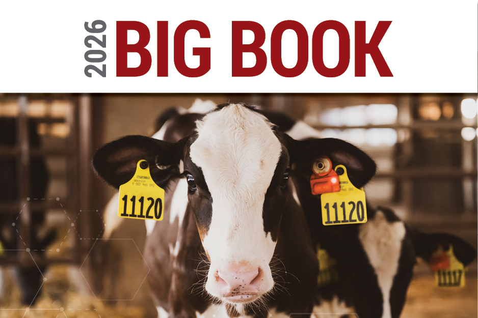 CentralStar Big Book 2026