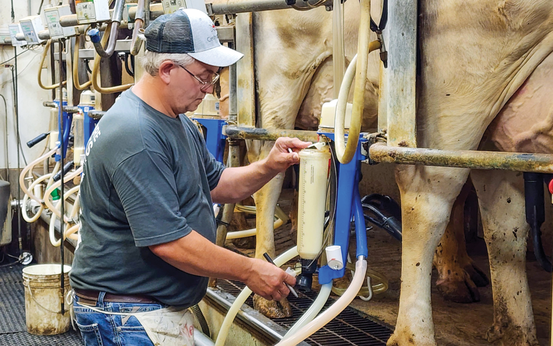 Your milk check tells a story